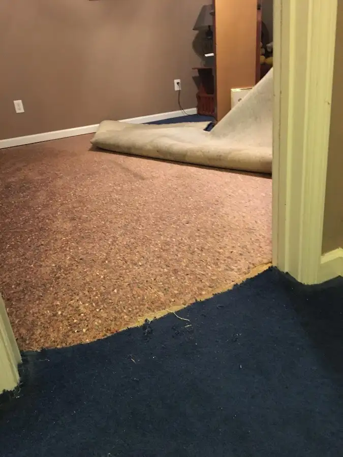 Carpet pad removal revealing water damage during Drying & Dehumidification in Eldorado at Santa Fe